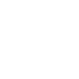Puetsua logo